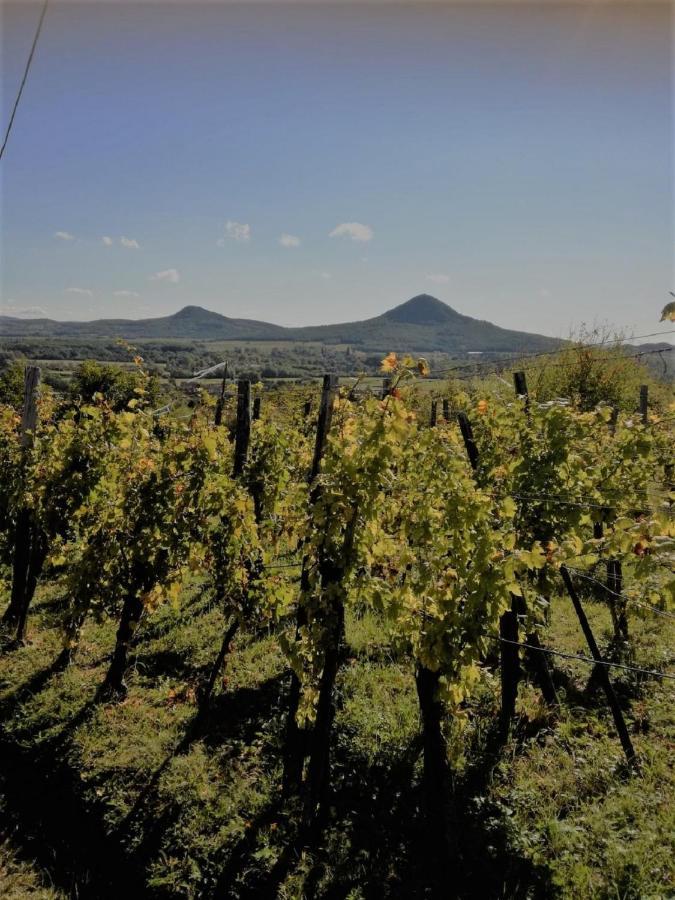 Villa Agnes Almai Agnes Apples Kisapati Exterior foto